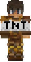Скин по нику NIN9TIM