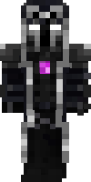 Скин по нику Ne4er_Void