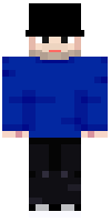 Скин по нику NedStormFish