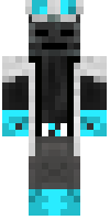 Скин по нику Niko01