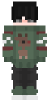 Скин по нику NinjaUnderCover