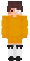 Скин по нику Niroll_Hunter