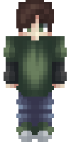 Скин по нику Nirruss