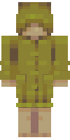 Скин по нику Noob23
