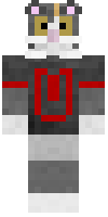 Скин по нику NorseBoi