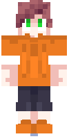 Скин по нику NowgouPvP