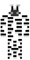 Скин по нику Nuclear_Zebra