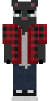 Скин по нику PASHGEN