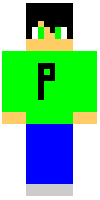Скин по нику POMA1