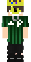 Скин по нику Palmeiras
