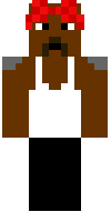 Скин по нику PandaManda