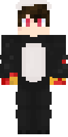 Скин по нику Panda_Panda