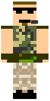 Скин по нику ParaTrooper