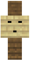 Скин по нику PelmenixYT