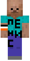 Скин по нику Pennies___