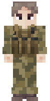 Скин по нику Perfis_