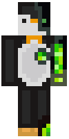 Скин по нику Pingvibot