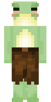 Скин по нику Player_4