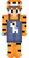 Скин по нику Playtiger