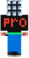 Скин по нику ProGamer10