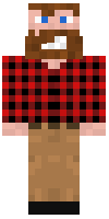 Скин по нику QuietGuy