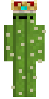 Скин по нику QwertyCactus