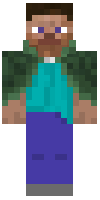 Скин по нику RIS_Creeper