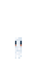 Скин по нику Rainbownoob