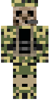 Скин по нику Raizazel