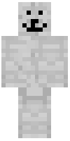 Скин по нику RandomGamer342