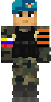 Скин по нику Rarity22