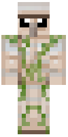 Скин по нику Ravageor