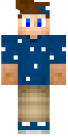 Скин по нику Ray_
