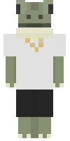 Скин по нику RenTheGamerr