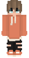 Скин по нику Renard_BE
