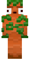 Скин по нику Retarded_Carrot