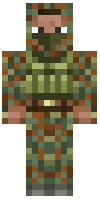 Скин по нику Riggger