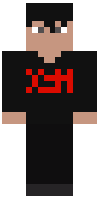 Скин по нику Rinchik_VT