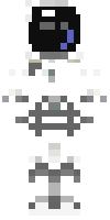 Скин по нику Rippinz