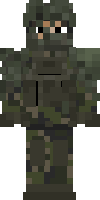 Скин по нику Roamin