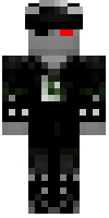 Скин по нику RobotPirate99