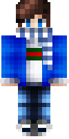 Скин по нику RobziGames