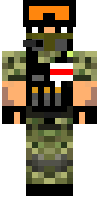 Скин по нику Roman19