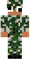 Скин по нику SPO102