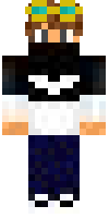 Скин по нику SULTEE1337