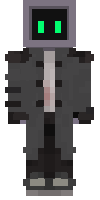 Скин по нику Sage_wanderer