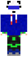 Скин по нику Sam_potter