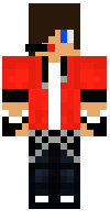 Скин по нику SanchezGamers