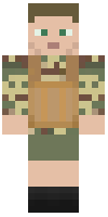 Скин по нику Sandstorm_CZ