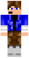 Скин по нику SayGamer